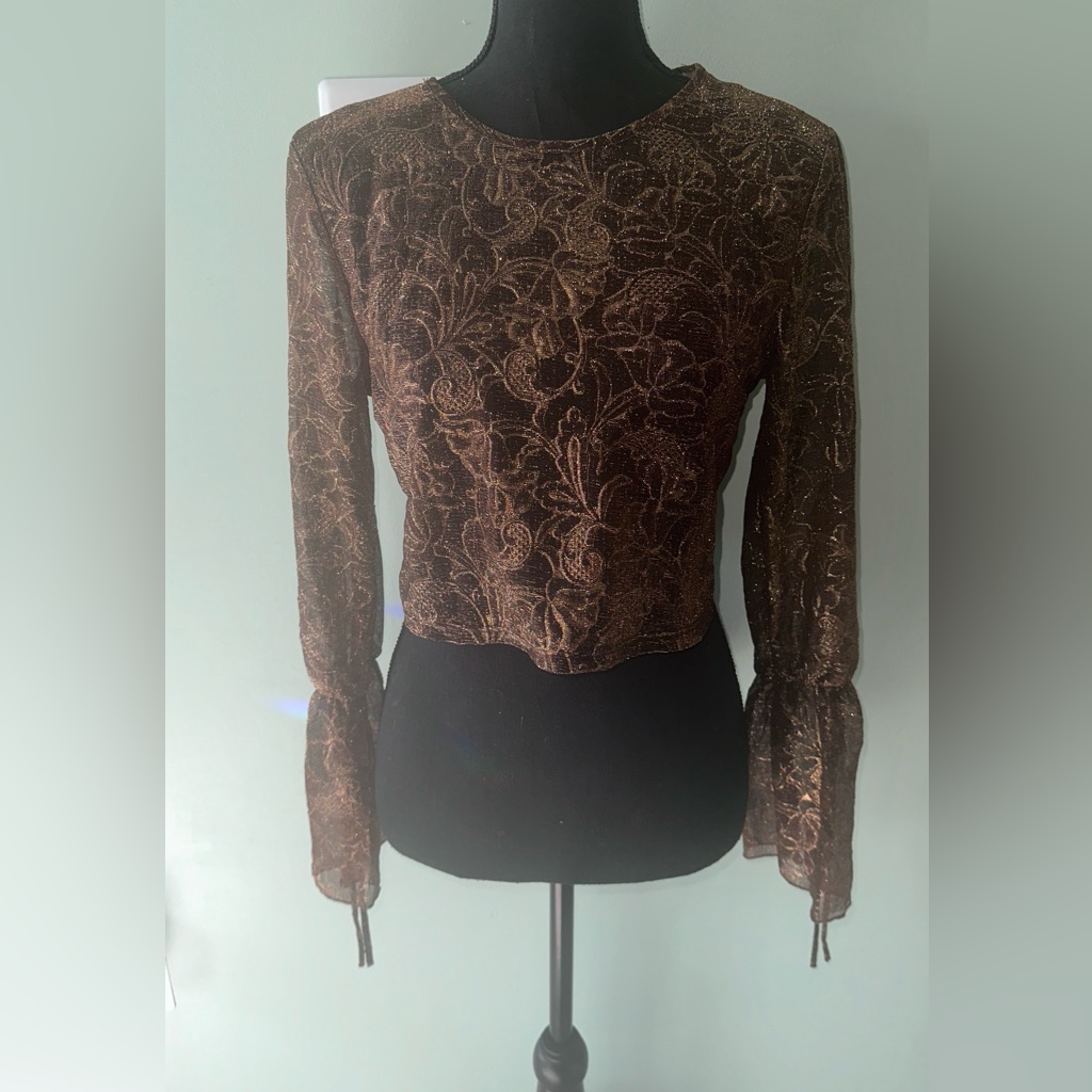 Elegant Brown Lace Top